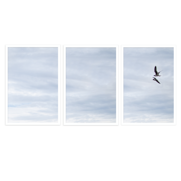 FLY AWAY WITH ME - TRIPTYCH