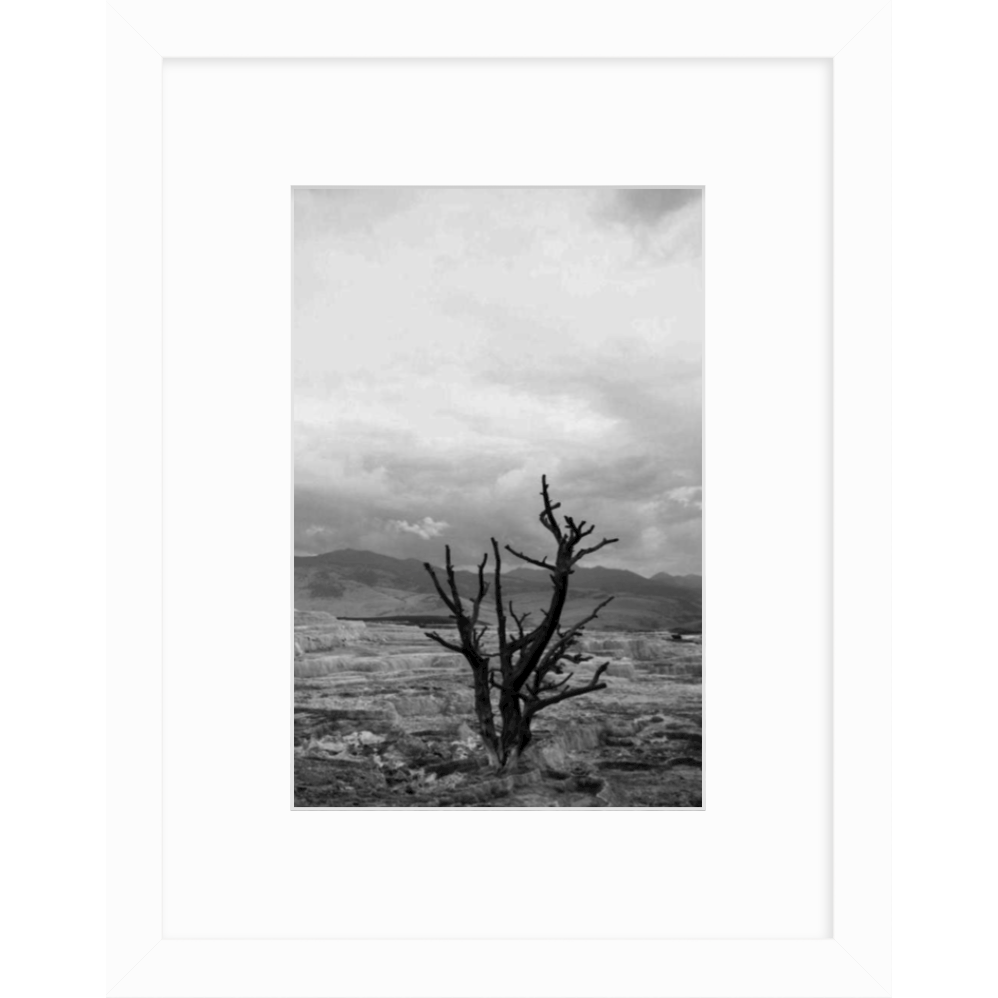 black and white print of solitude by cc and mike the shop