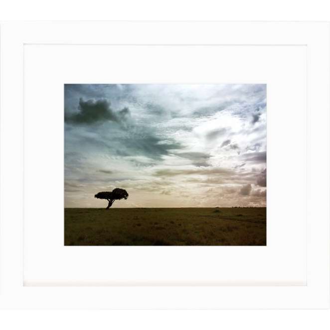lone tree in the safari print by cc and mike the shop